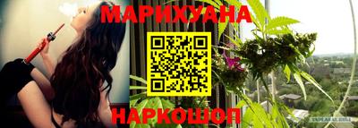 гидропоника Бийск