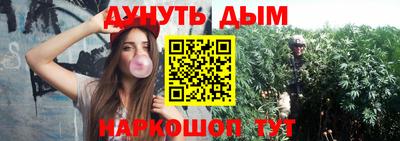 гидропоника Бийск