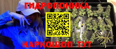 стаф Малоярославец