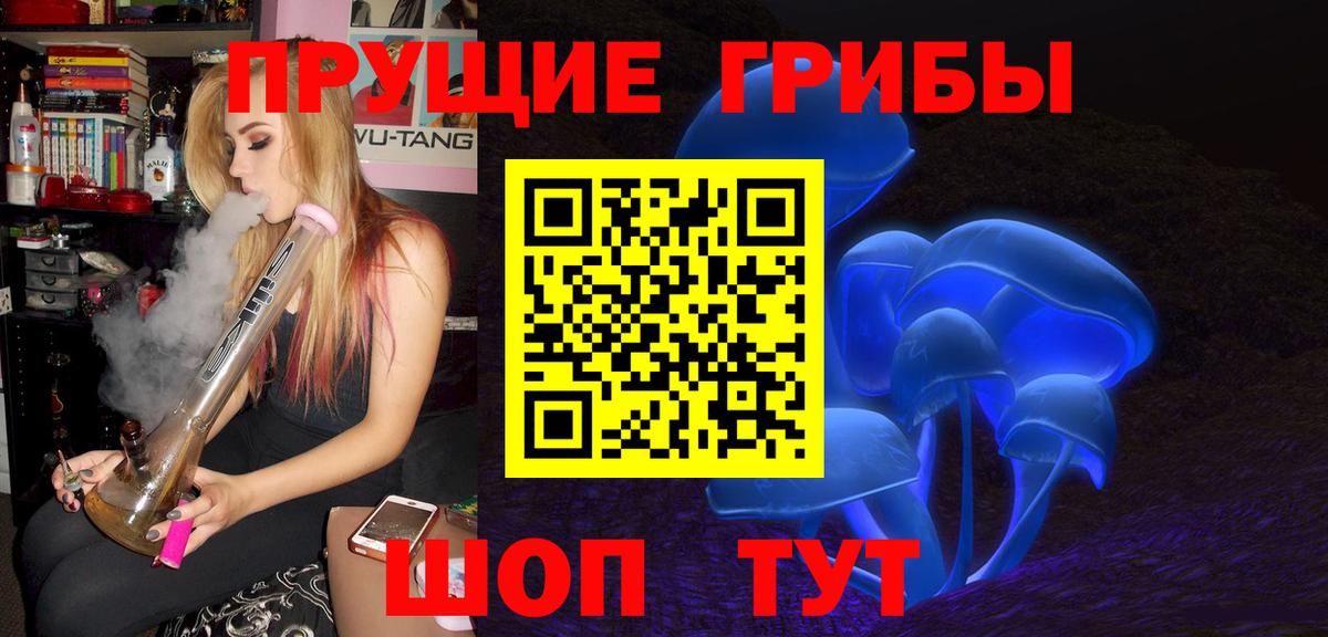 Галлюциногенные грибы Psilocybine cubensis  Энгельс  Галлюциногенные грибы Magic Shrooms 